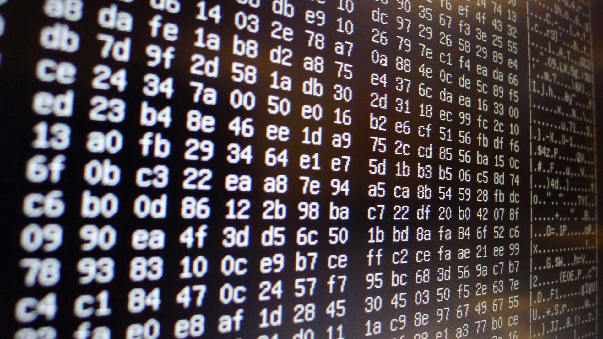 app_development_random_hex_data_1920.JPG